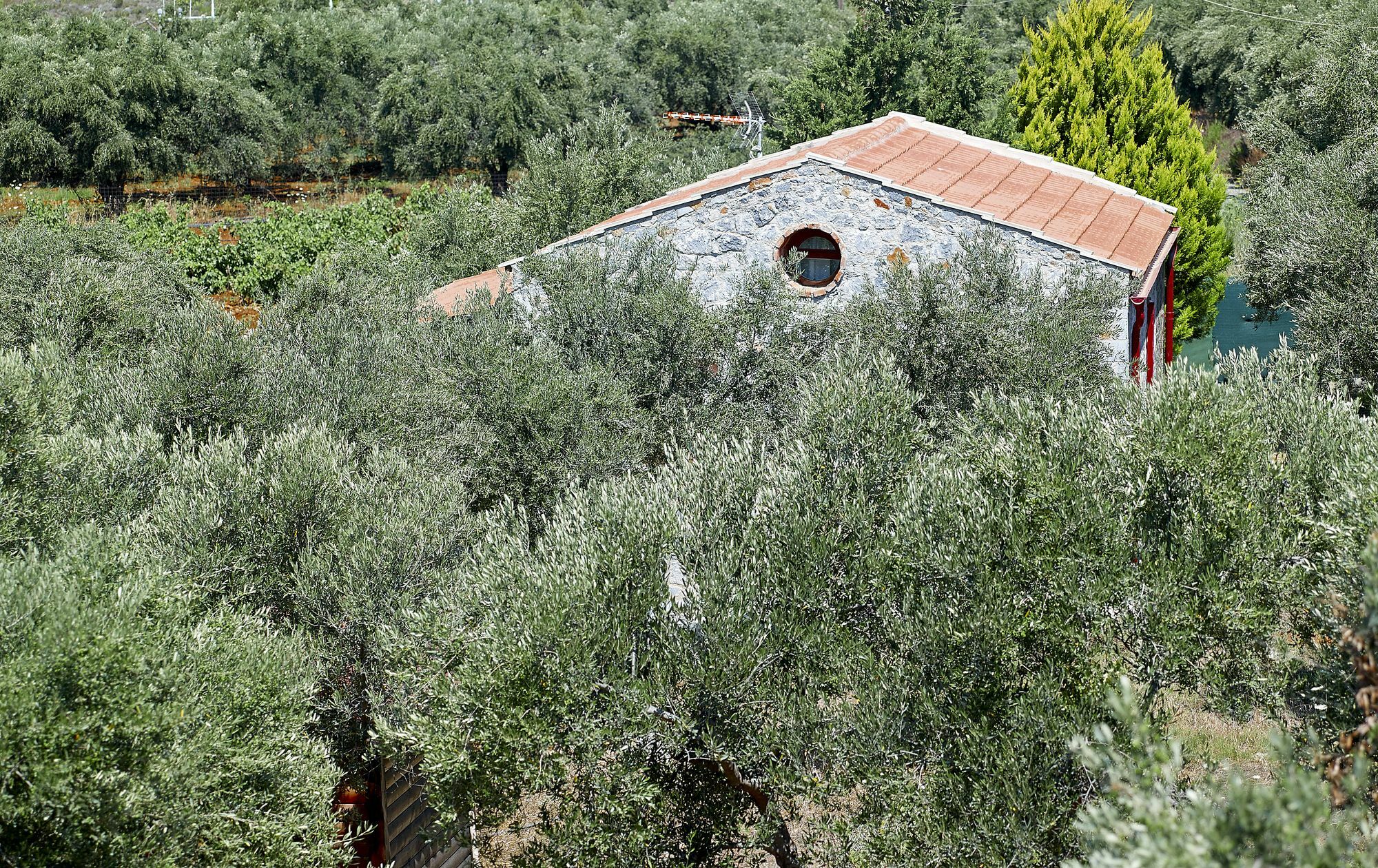 Fortino Villas Livadi  Exterior foto